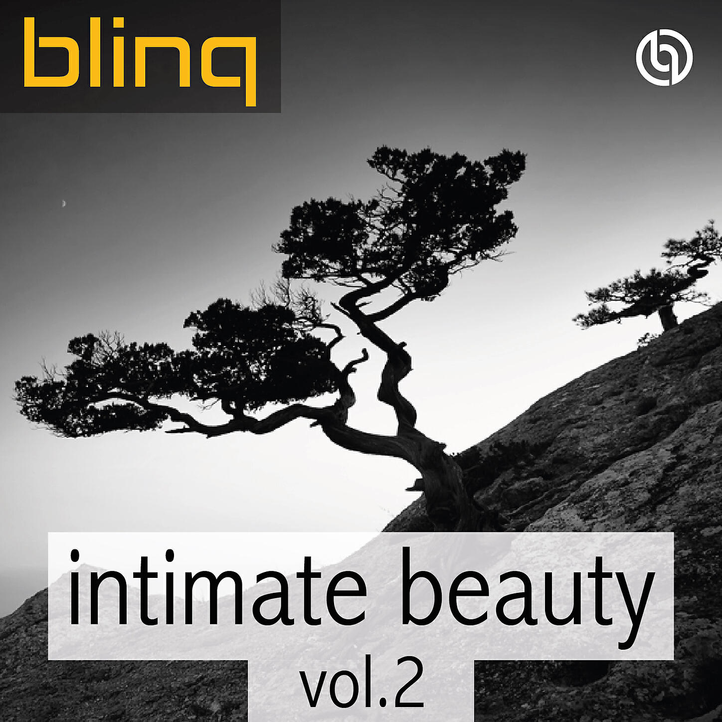 blinq - Both Sides of the Story