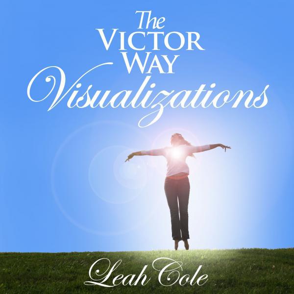 Постер альбома The Victor Way Visualizations