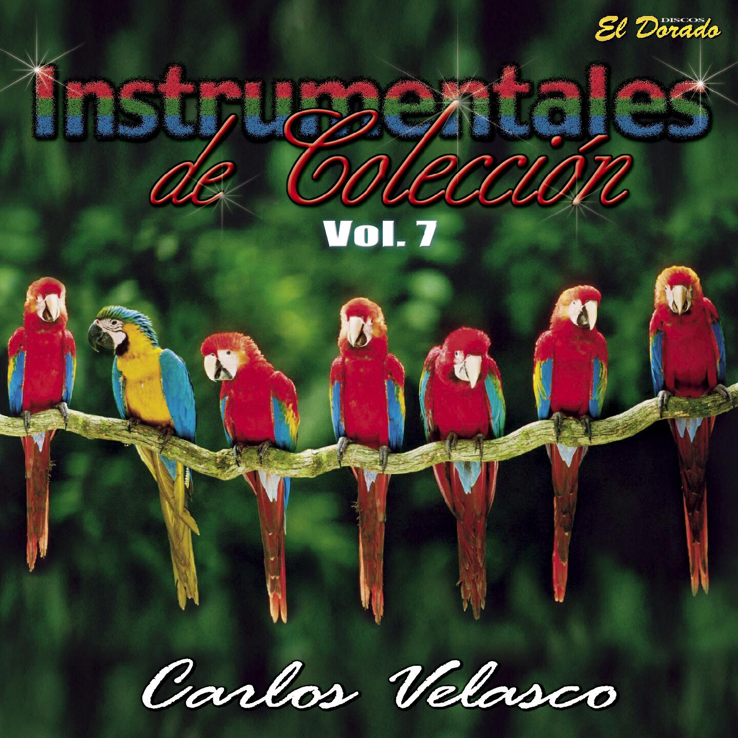 Carlos Velasco - Fusion Andina (Sillustani / Poncho / El Cuculi y la Flauta / Cordilleras)