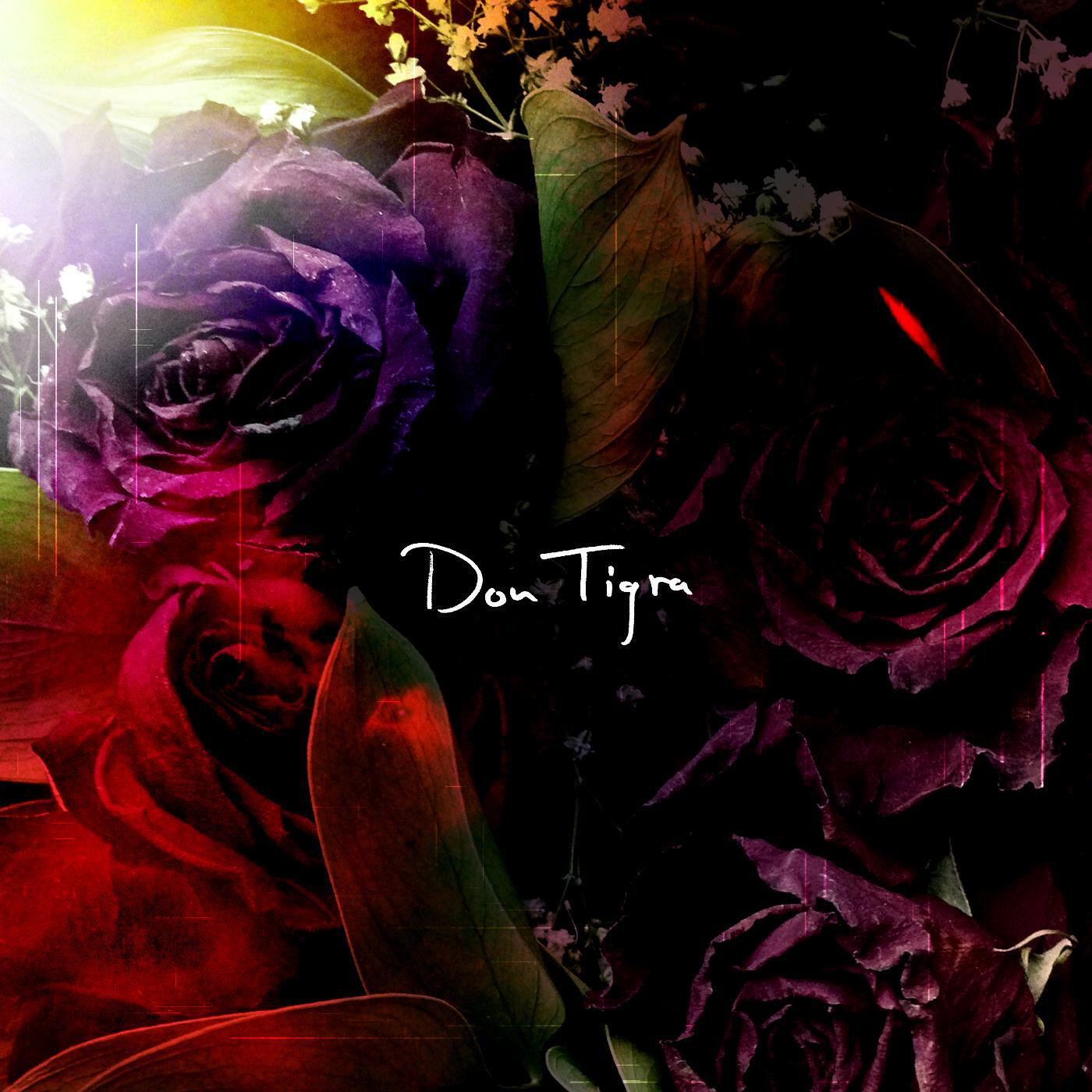Don Tigra - Heart Needs Medicine (feat. Brooke Waggoner)