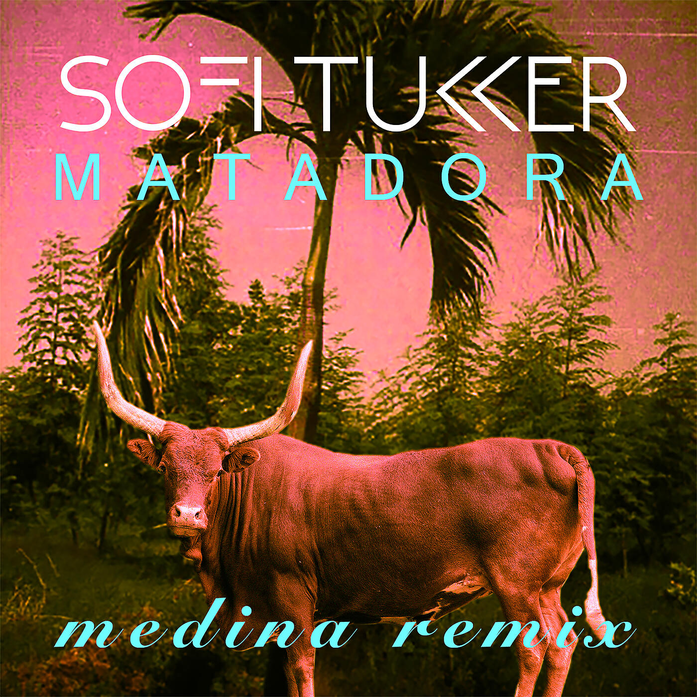 SOFI TUKKER - Matadora (Medina Remix)