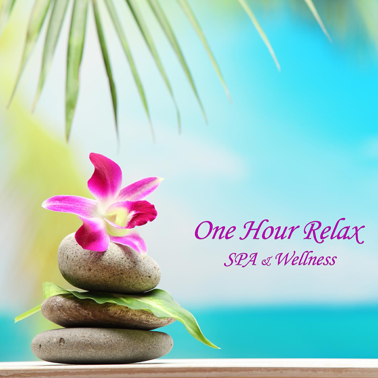 CAESAR - One Hour Relax (Spa & Wellness)