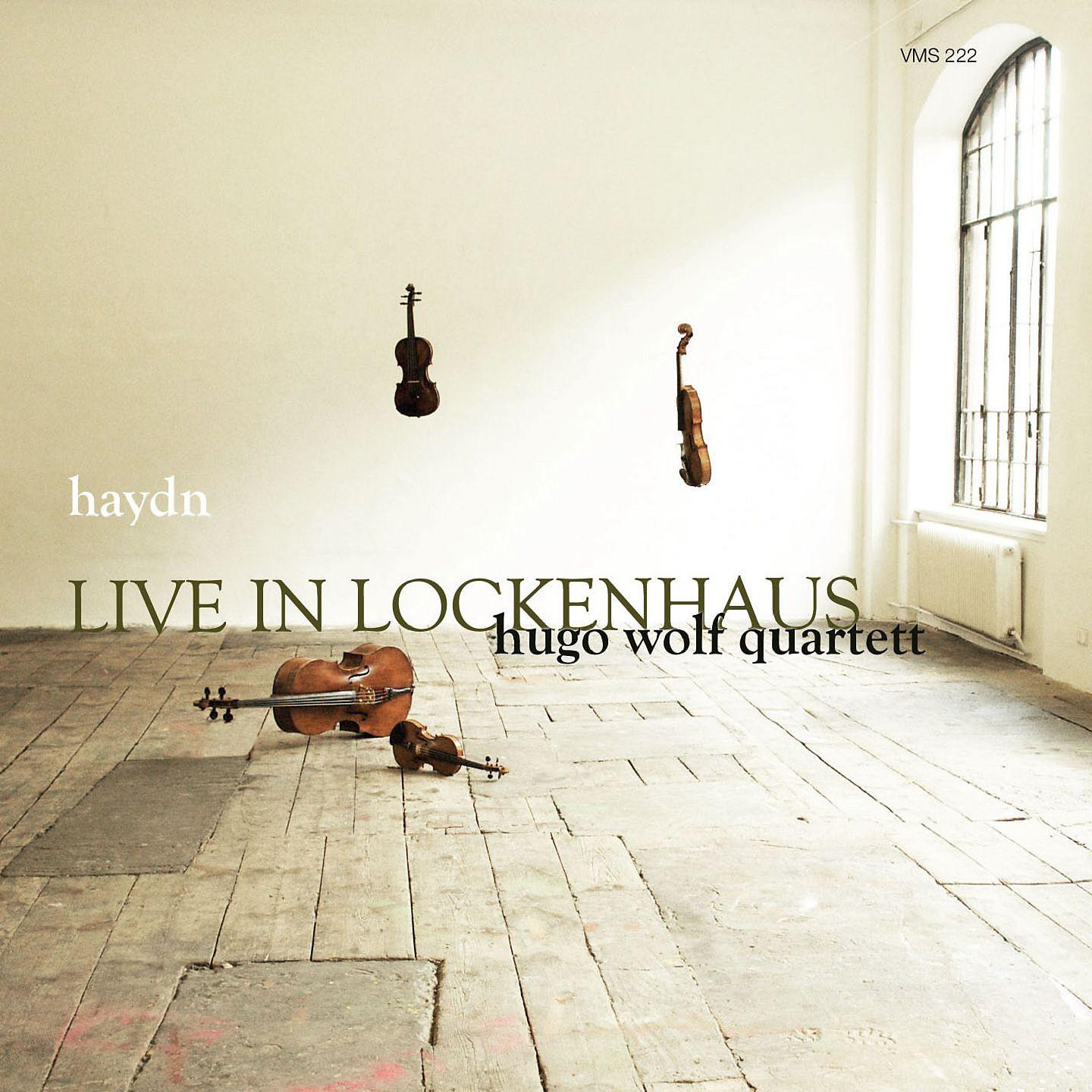 Постер альбома Haydn: Live in Lockenhaus