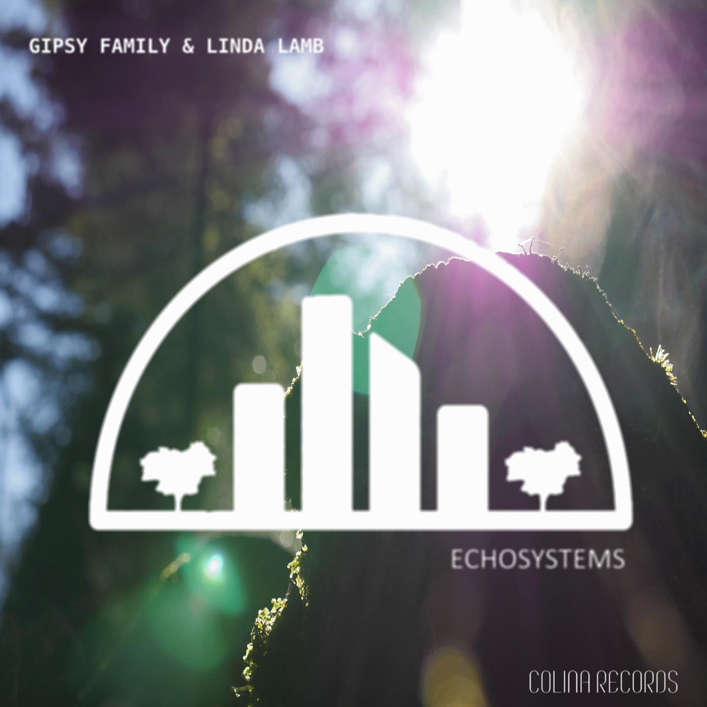 Постер альбома EchoSystems