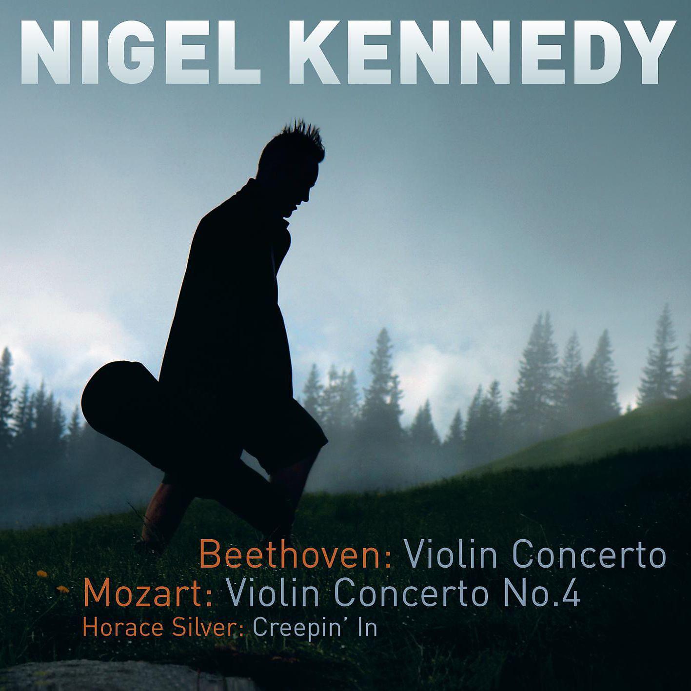 Постер альбома Beethoven & Mozart: Violin Concertos