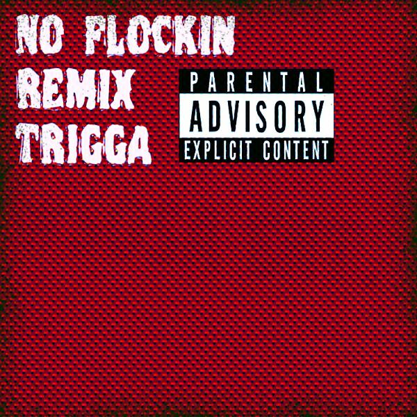 Trigga - No Flockin Remix (TRIGGA)