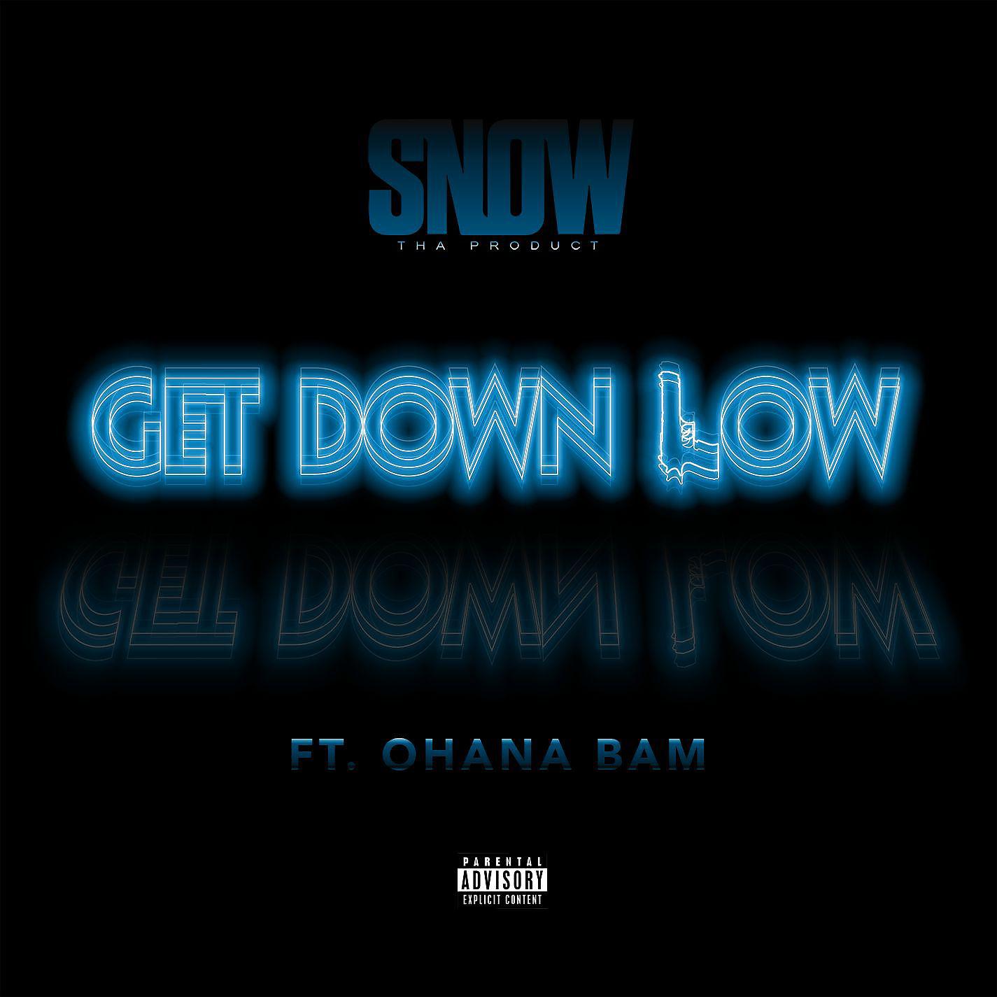 Постер альбома Get Down Low (feat. Ohana Bam)