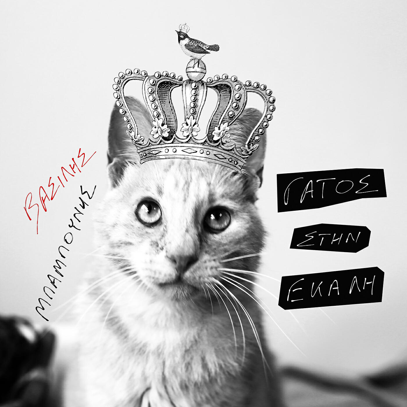 Vasilis Babounis - Gatos Stin Ekali
