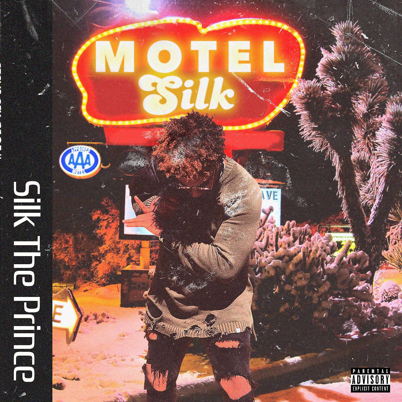 Постер альбома Motel Silk