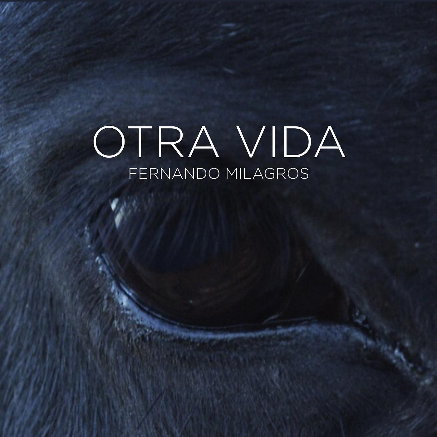 Постер альбома Otra Vida