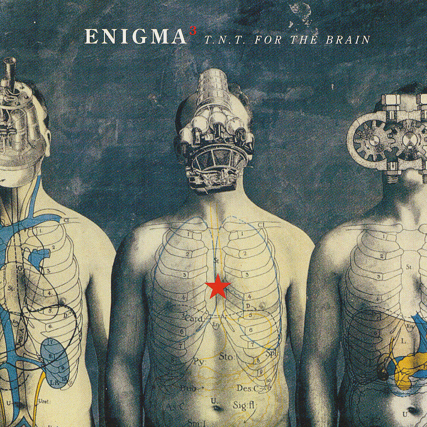 Enigma - T.N.T. For The Brain (Radio Edit)