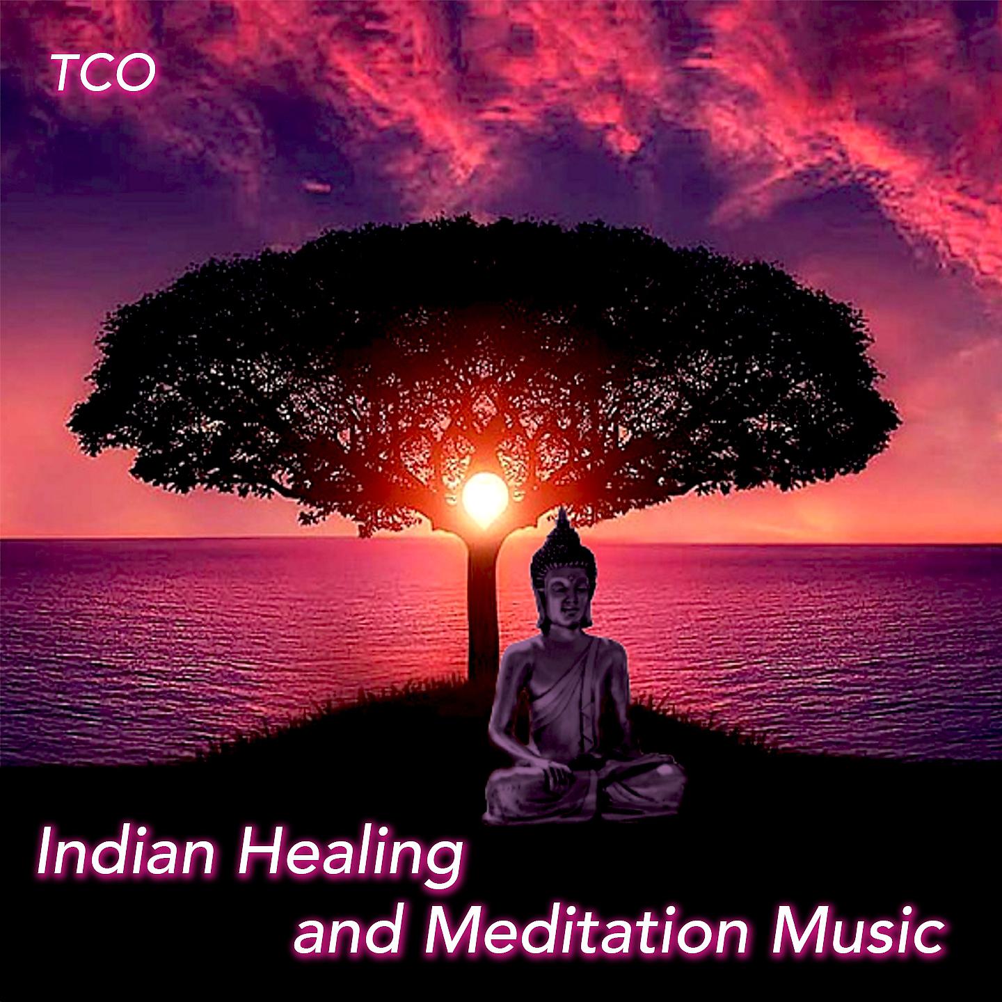 Постер альбома Indian Healing and Meditation Music