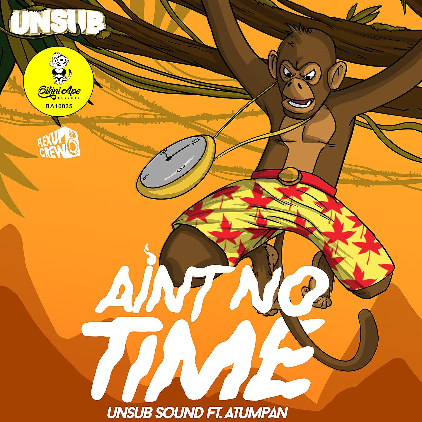 Unsub Sound - Aint No Time