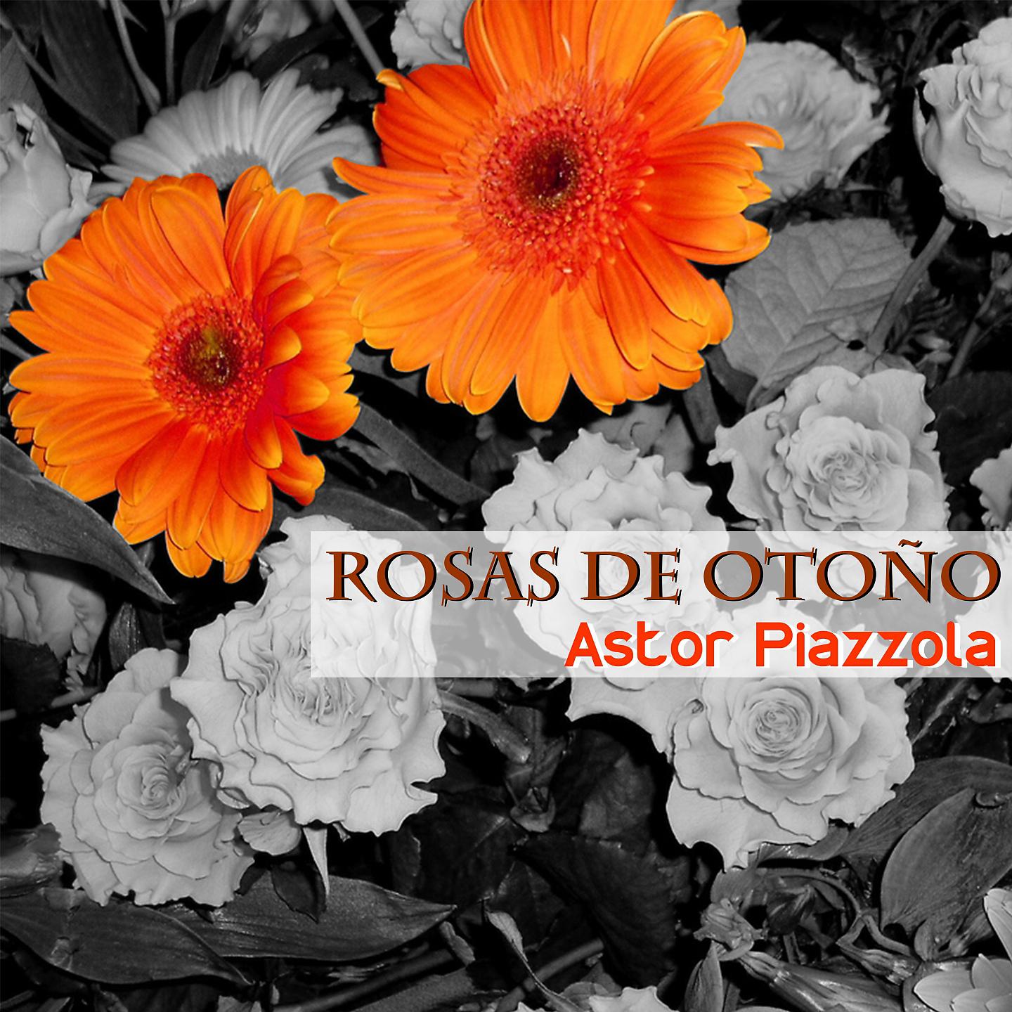 Постер альбома Rosas de Otoño