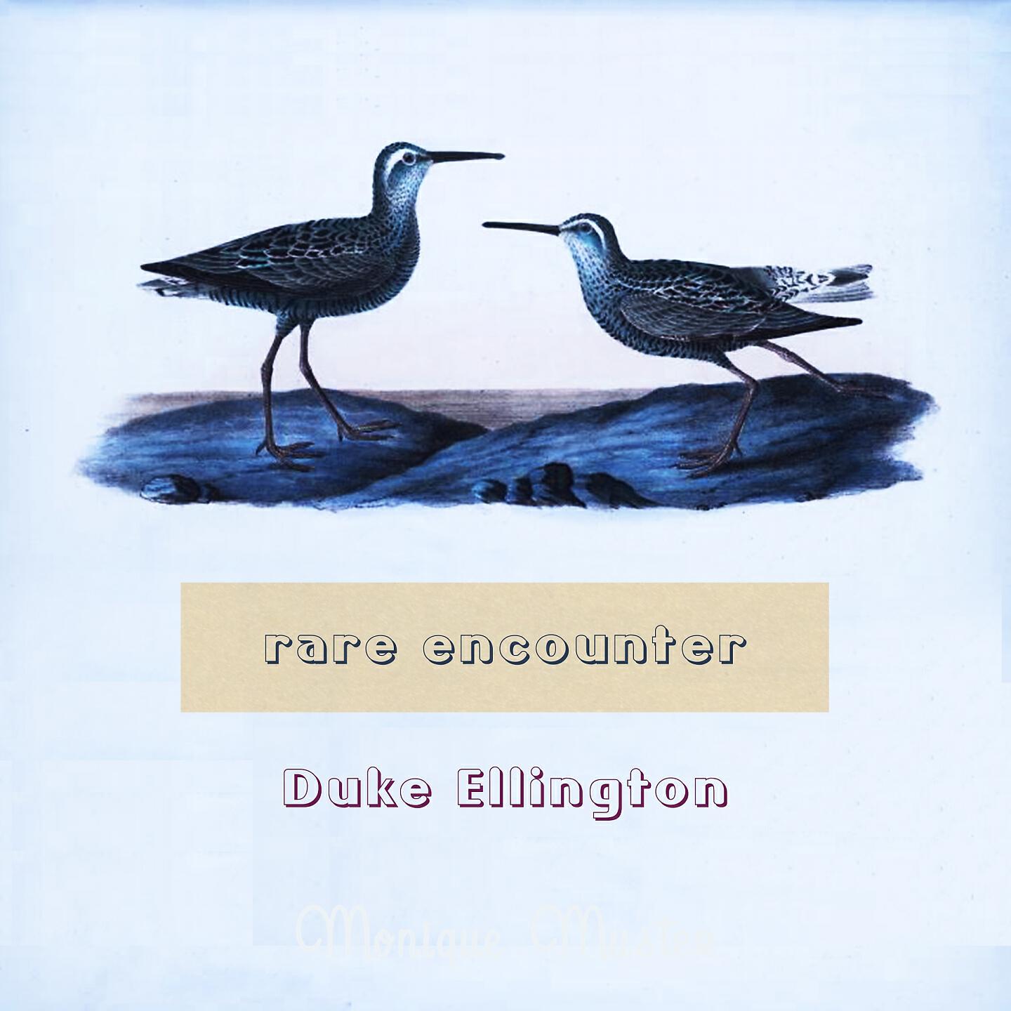 DUKE ELLINGTON - I've got to be a Rug Cutter