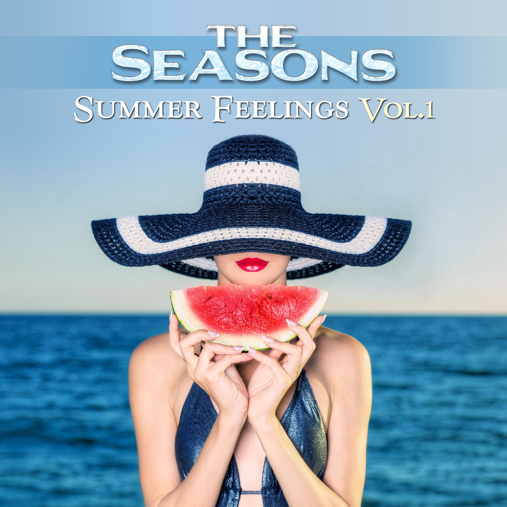 Постер альбома Summer Feelings, Vol. 1