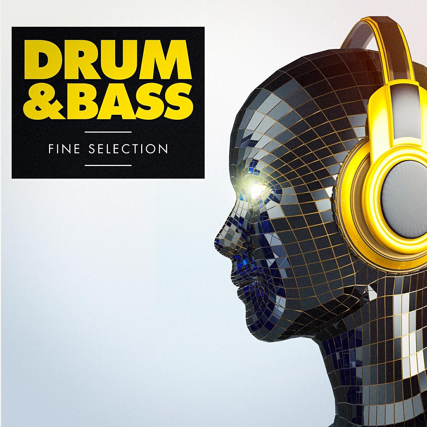 Dani Ferro - Applause (Drum & Bass Remix)