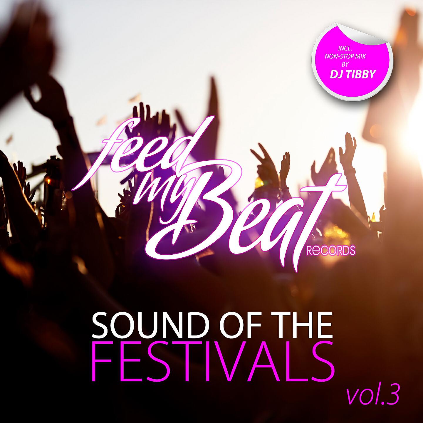 DJ Tibby - Sound of the Festival, Vol.3 (Continuous DJ Mix)