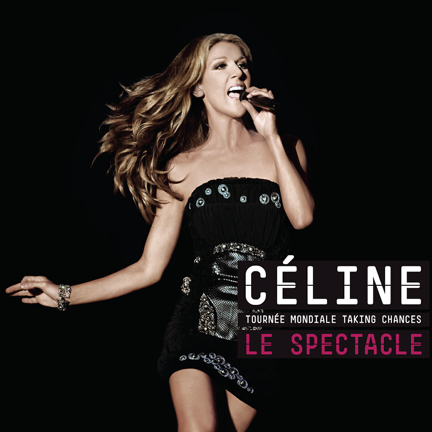Celine Dion - It's A Man's Man's Man's World (Montreal Show)