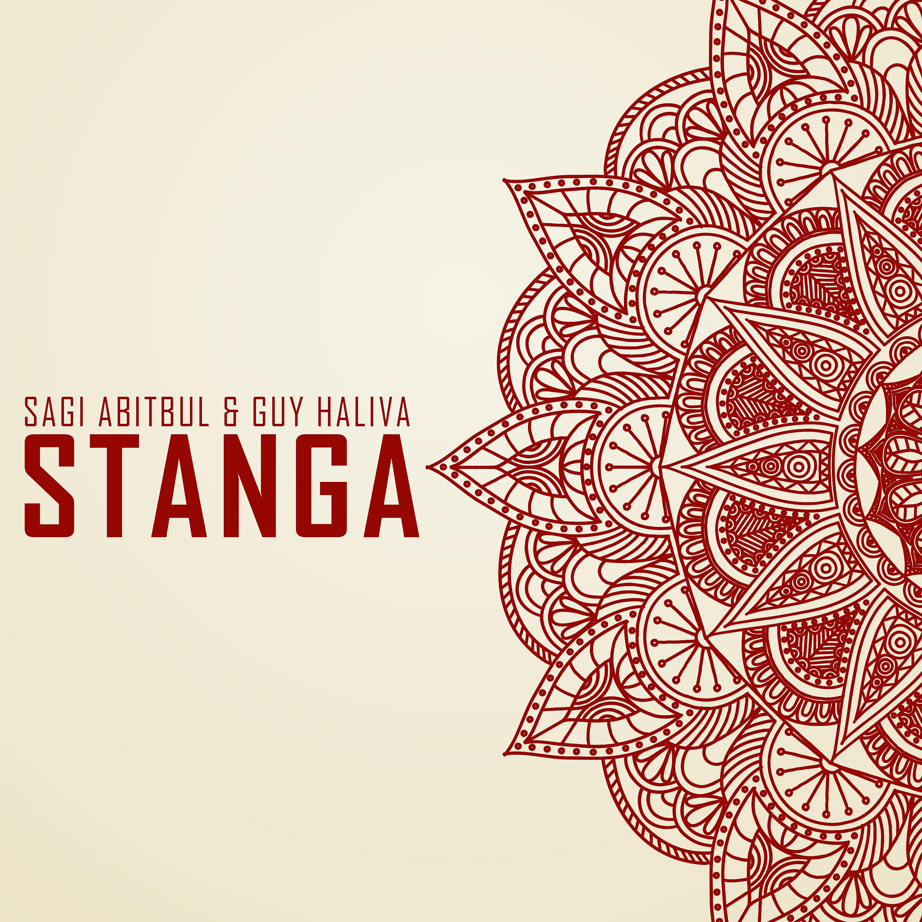 Постер альбома Stanga