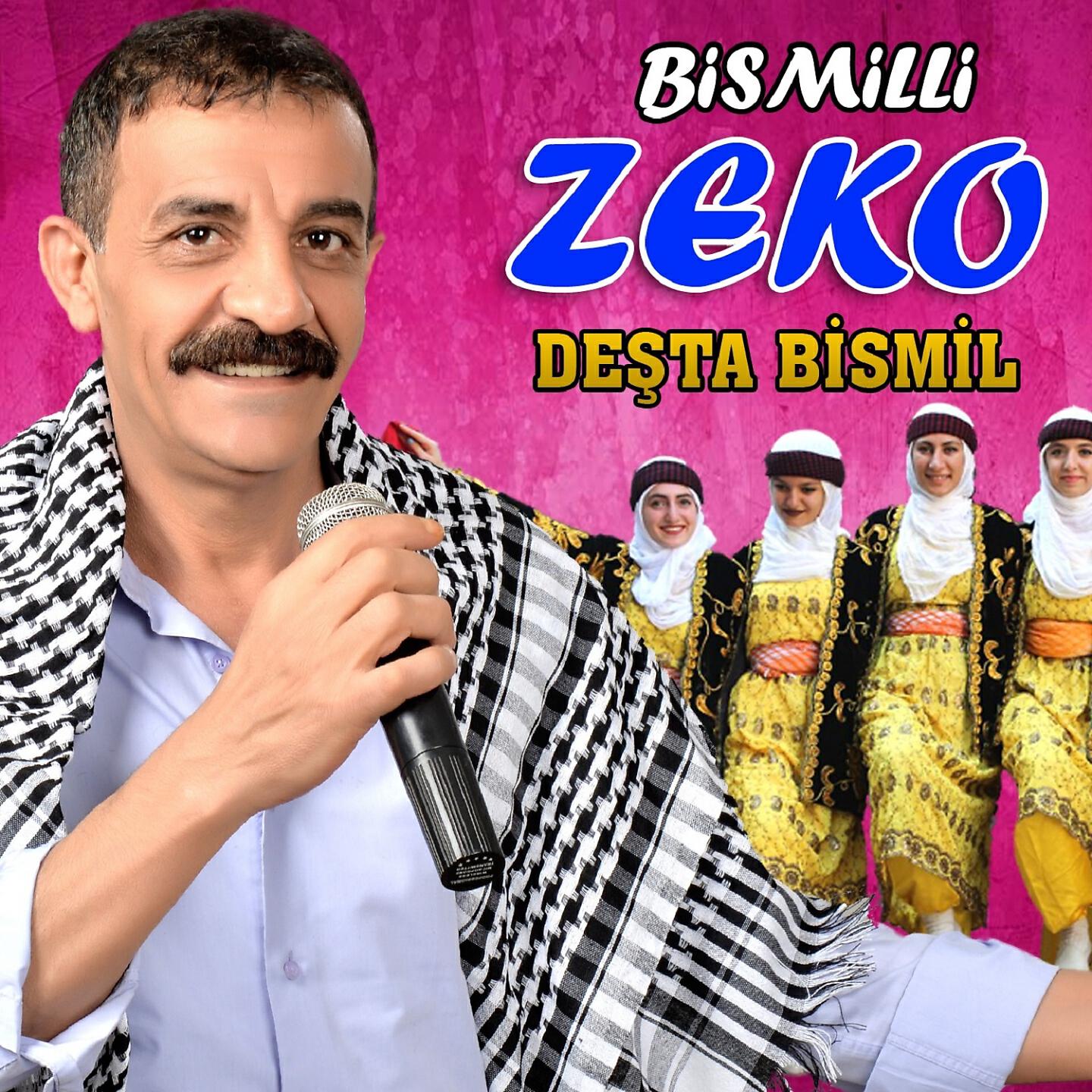 Bismilli Zeko - Delilo Potpori