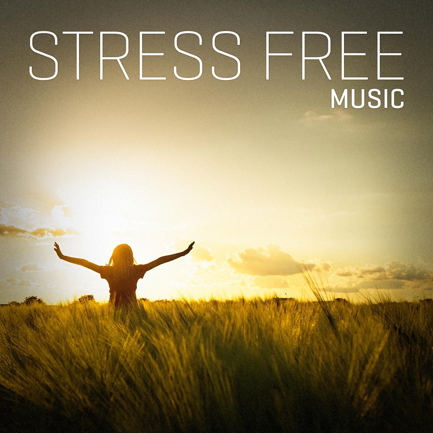 Постер альбома Stress Free Music