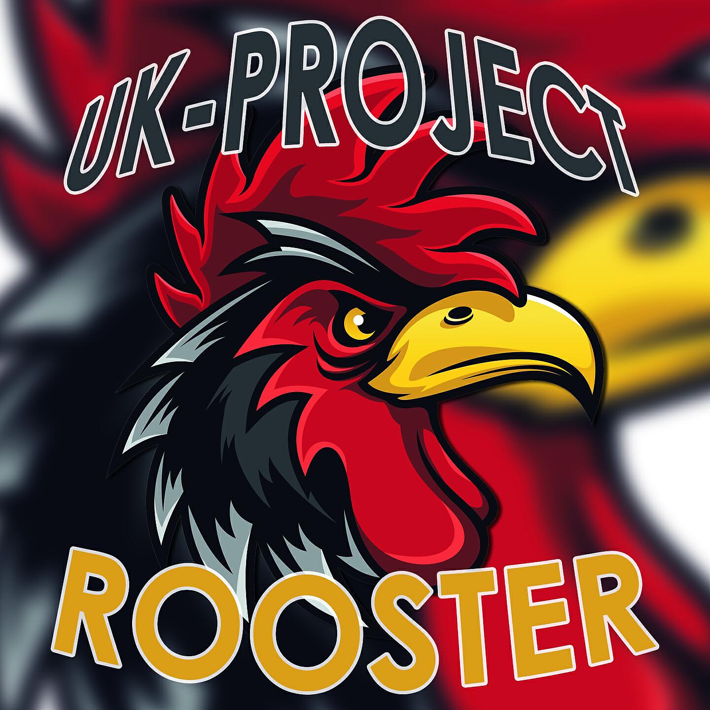UK-PROJECT - Rooster (DJ Ufuk Mix)