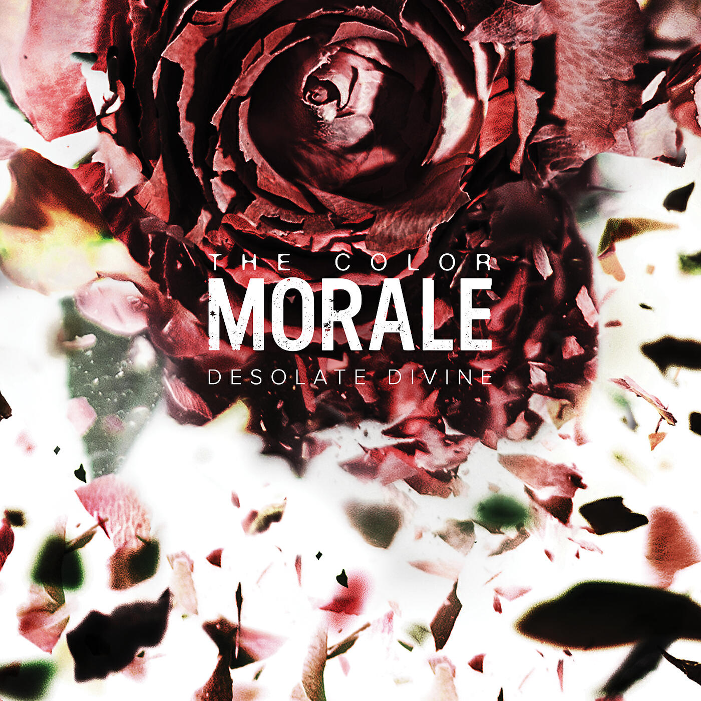 The Color Morale - Trail Of Blood
