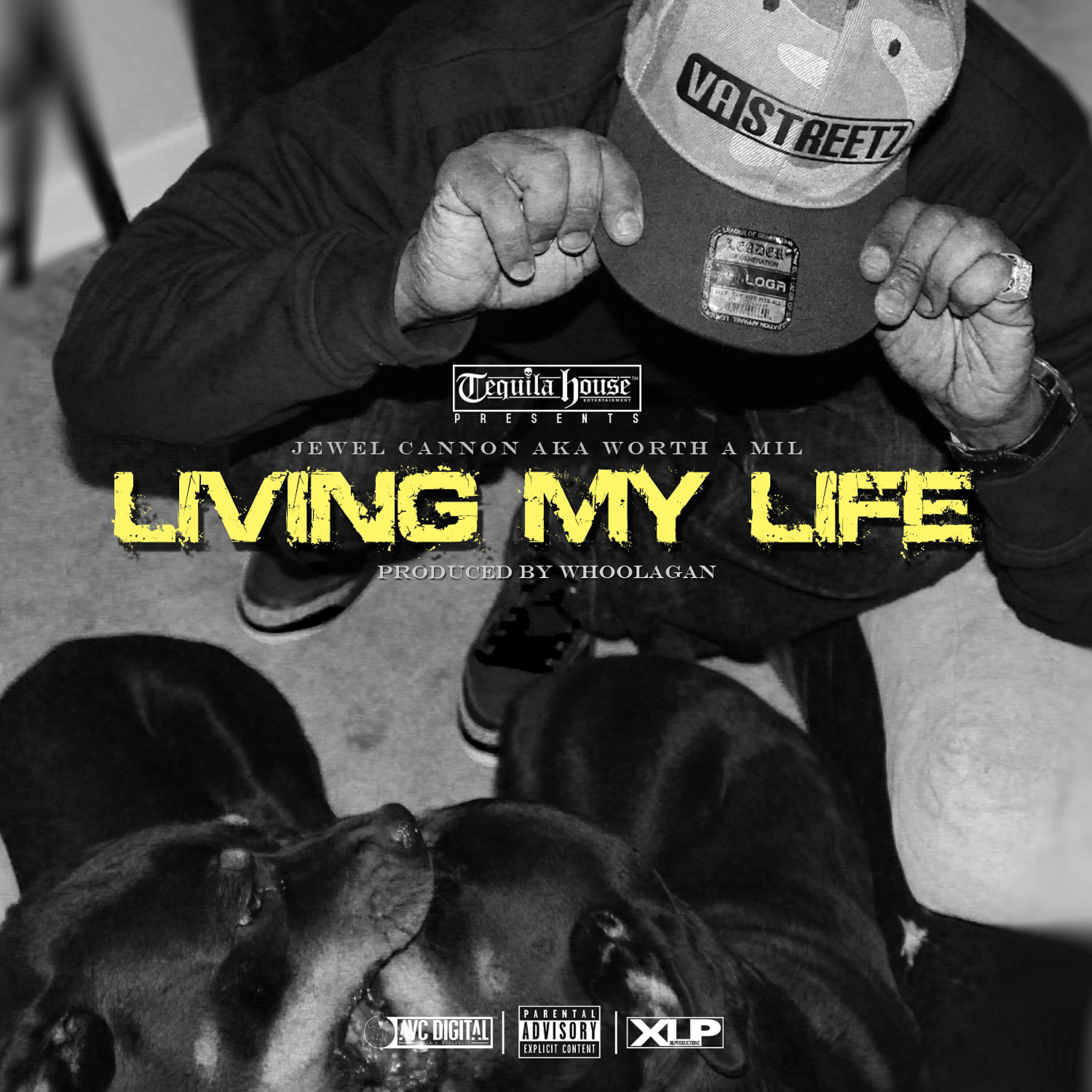 Jewel Cannon - Living My Life