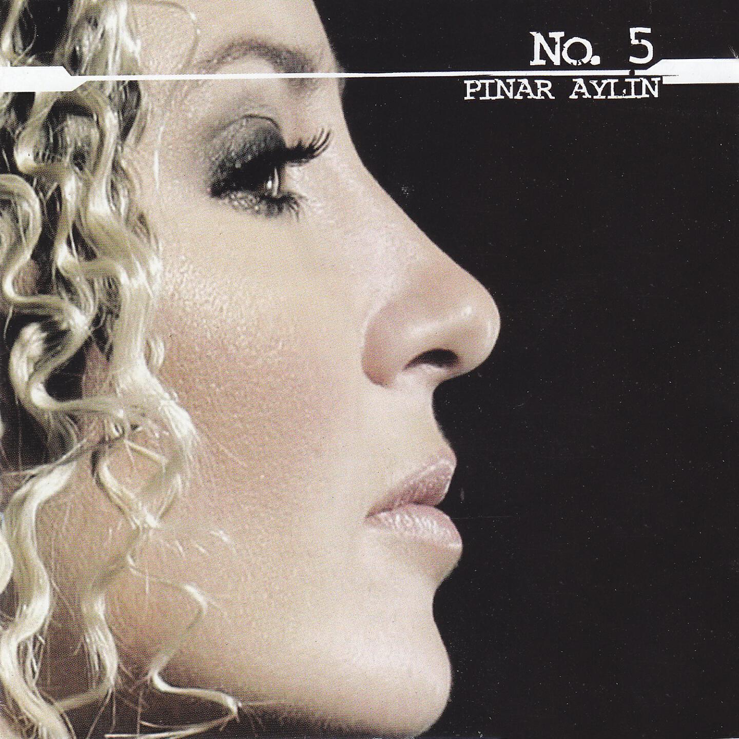 Pınar Aylin - Sebebini Sorma