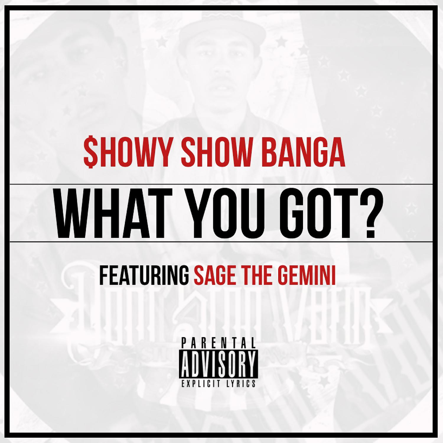 Постер альбома What You Got? (feat. Sage The Gemini) - Single