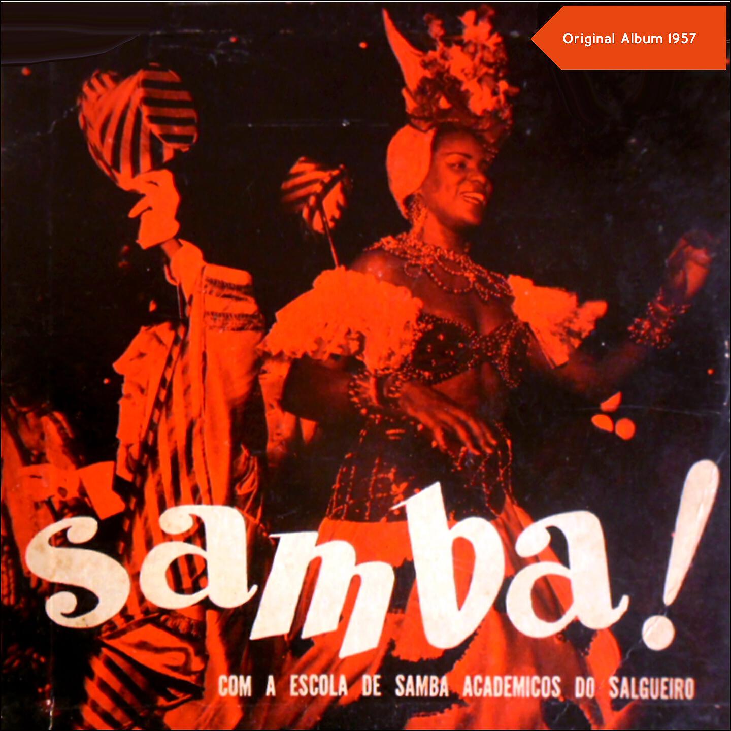 Escola de Samba Academicos do Salgueiro - Brasil Fonte das Artes