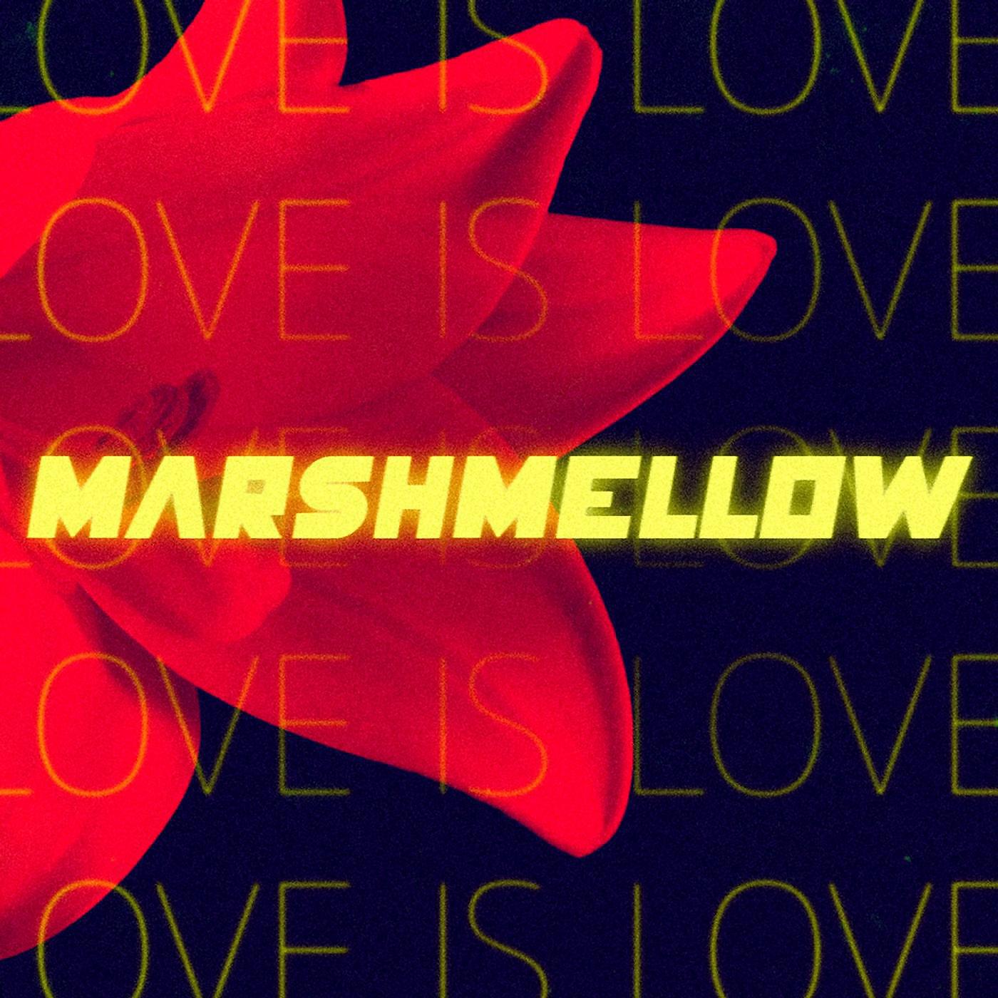 Marshmellow - Me & Scott Walker