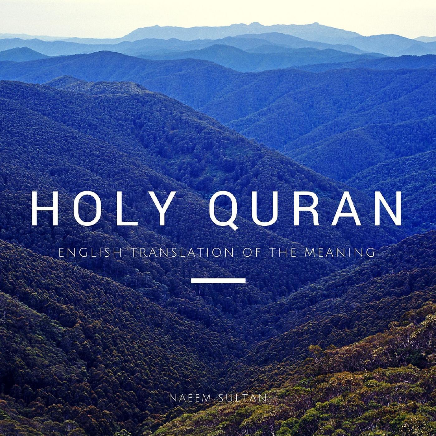 Naeem Sultan - The Pilgrimage
