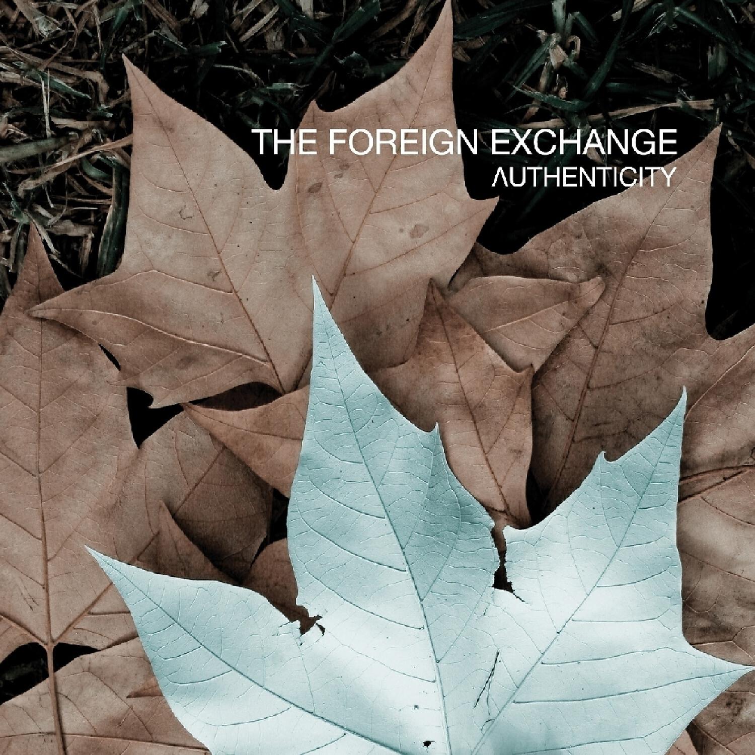 The Foreign Exchange - Make Me A Fool (feat. Jesse Boykins III & Median)