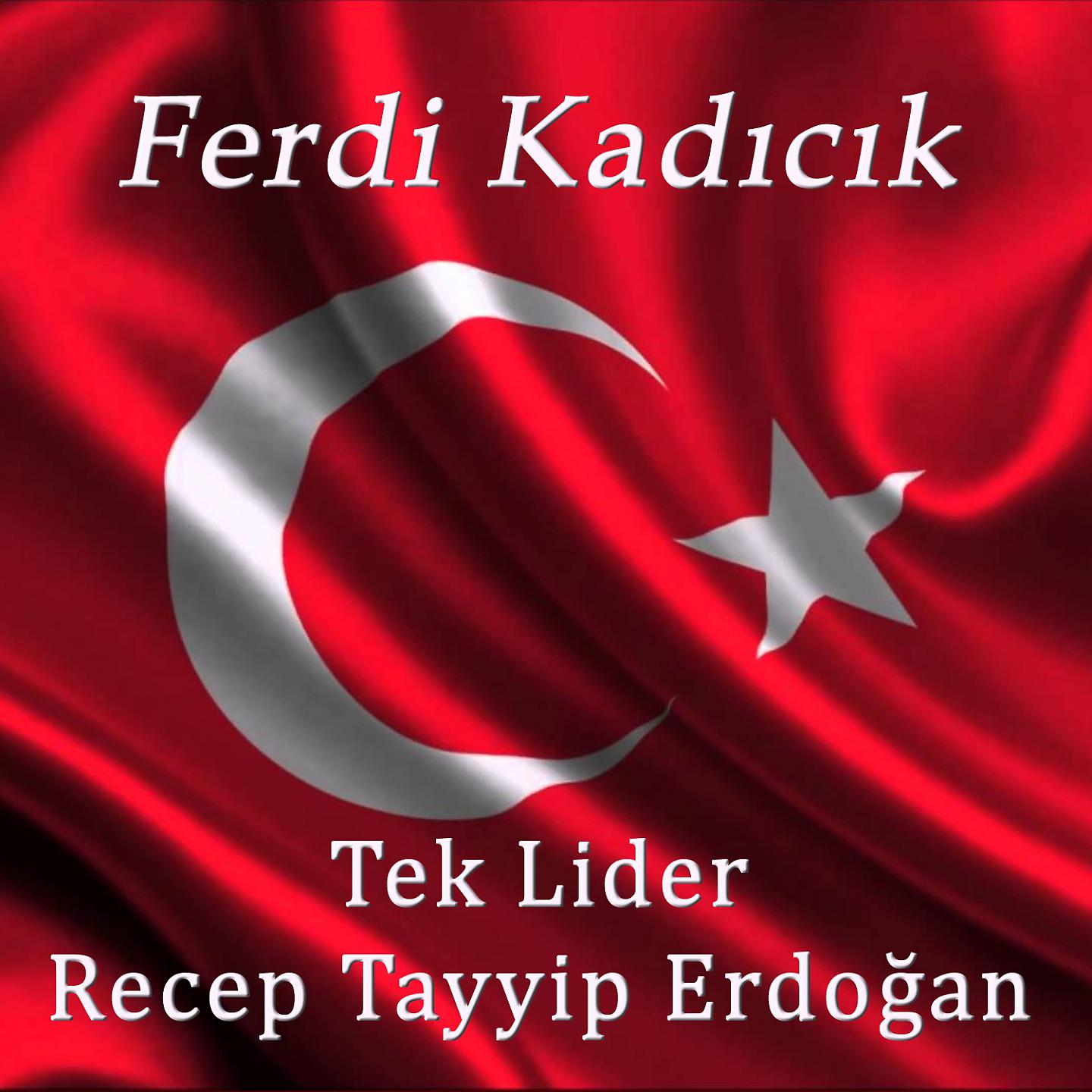 Постер альбома Tek Lider Recep Tayyip Erdoğan