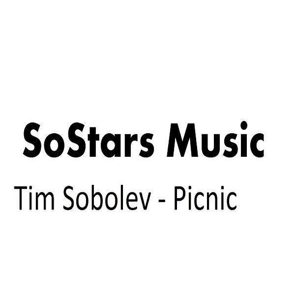 Tim Sobolev - Picnic (Original mix)
