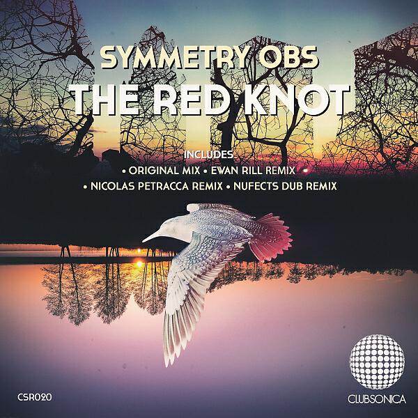 Symmetry Obs - The Red Knot (NuFects Dub Remix)