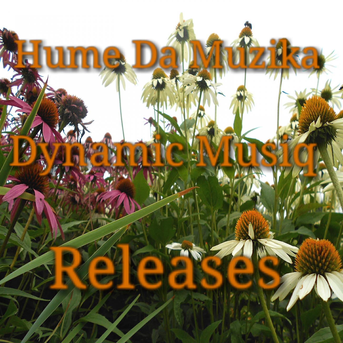 Hume Da Muzika - Alto Sax (Brazo Wa Afrika & ChymaMusiq Style)