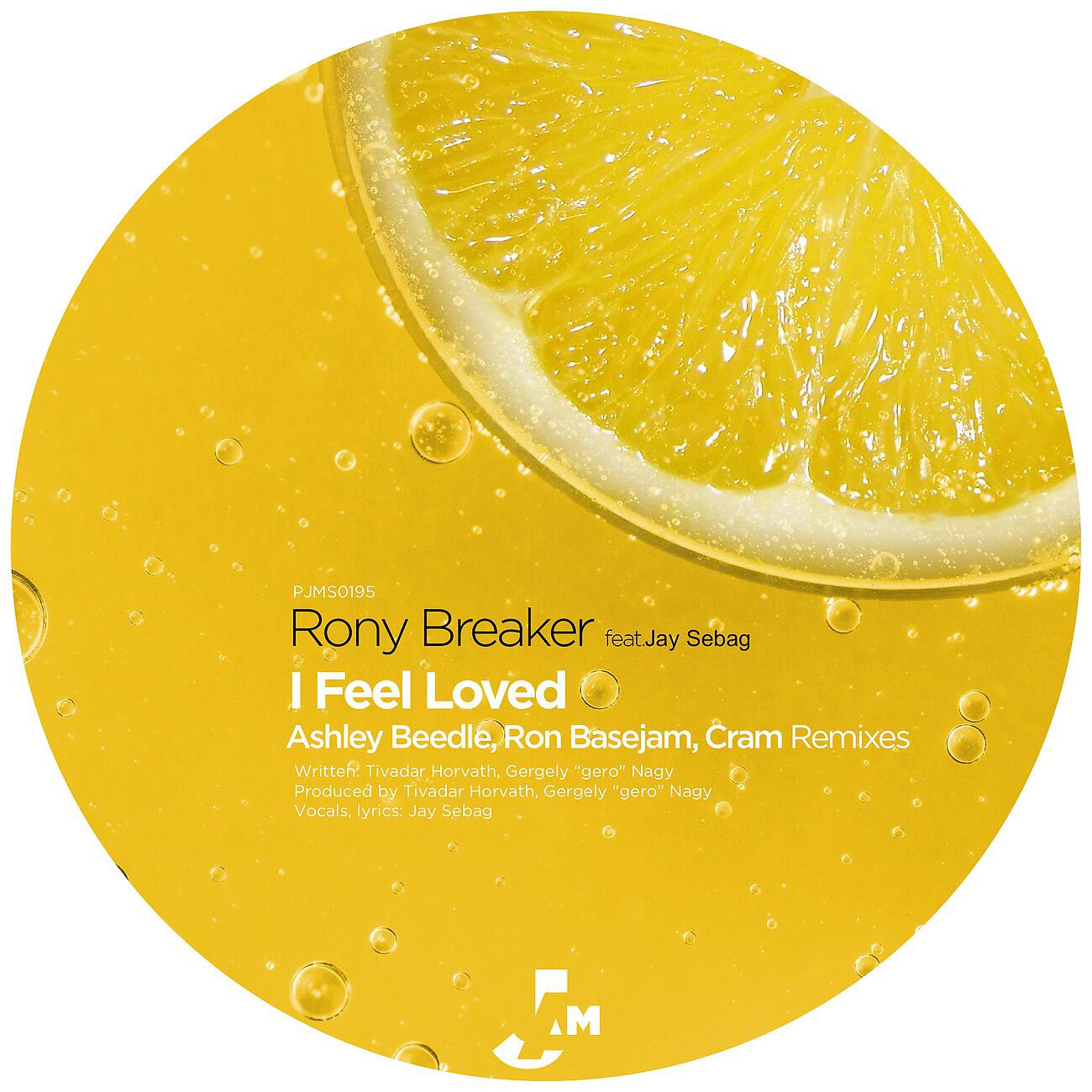 Rony Breaker - I Feel Loved (Ashley Beedle Dub Mix)