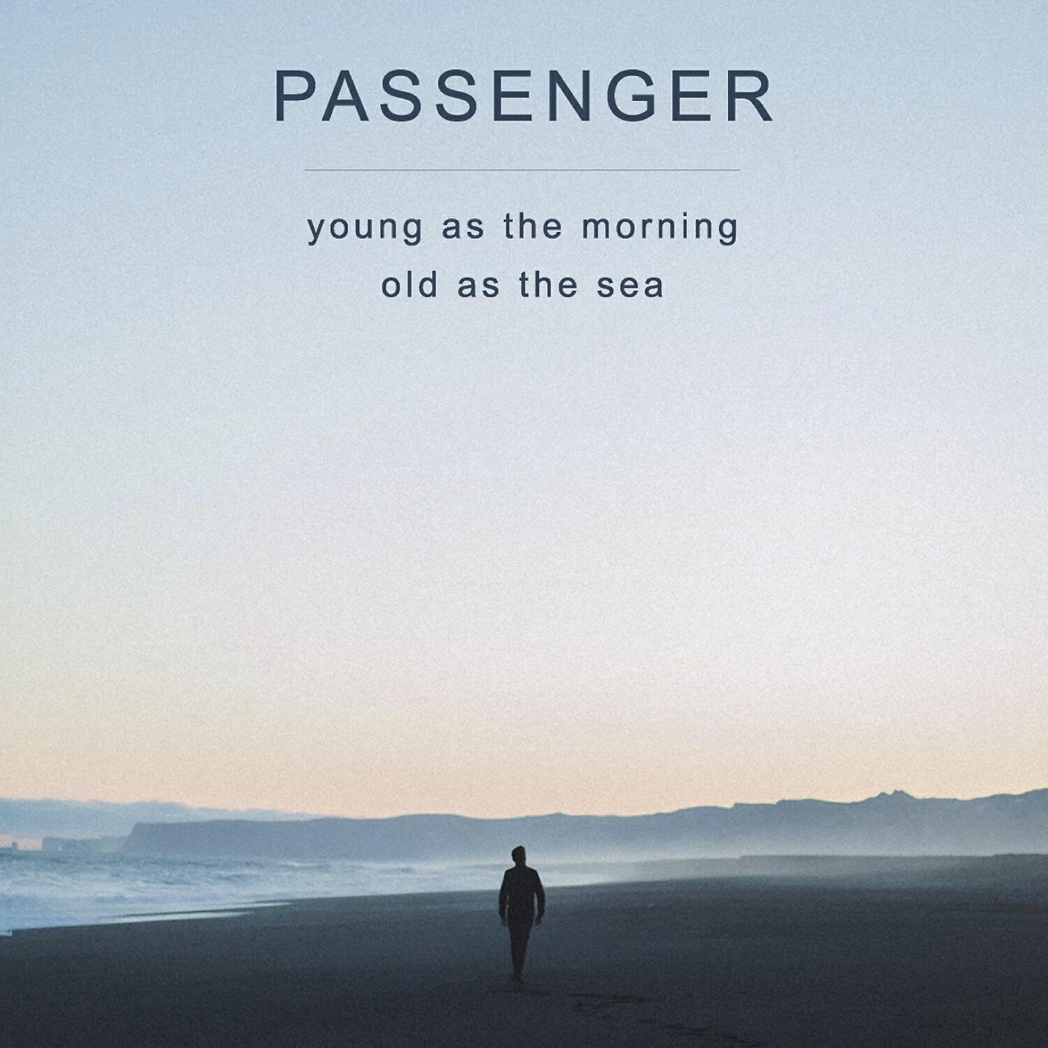 Passenger - Beautiful Birds (feat. Birdy)