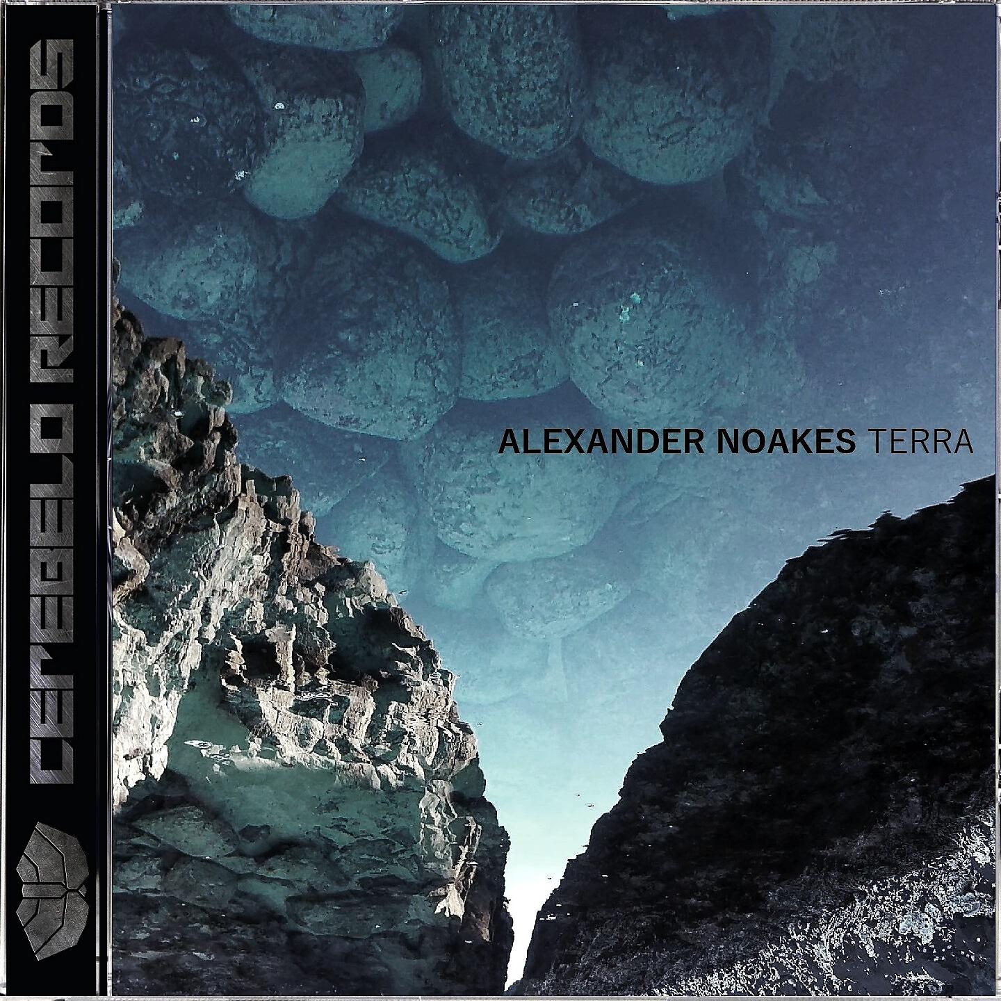 Alexander Noakes - Suspension