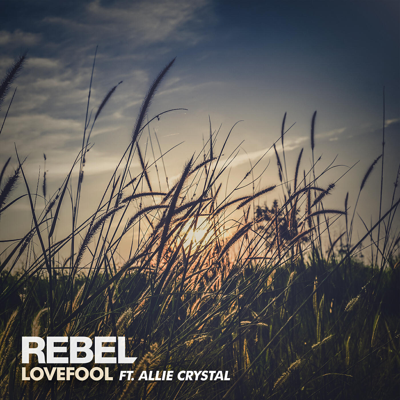 Rebel - Lovefool