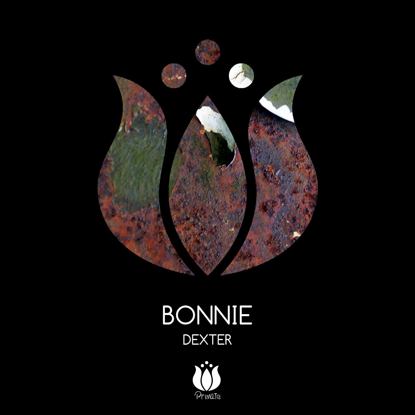 Bonnie ( Italy ) - Combo Layer (Original Mix)