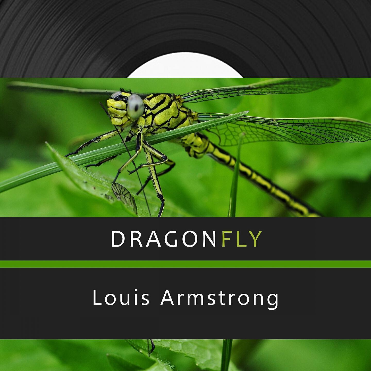 Louis Armstrong & His Orchestra - Song Of The Vipers