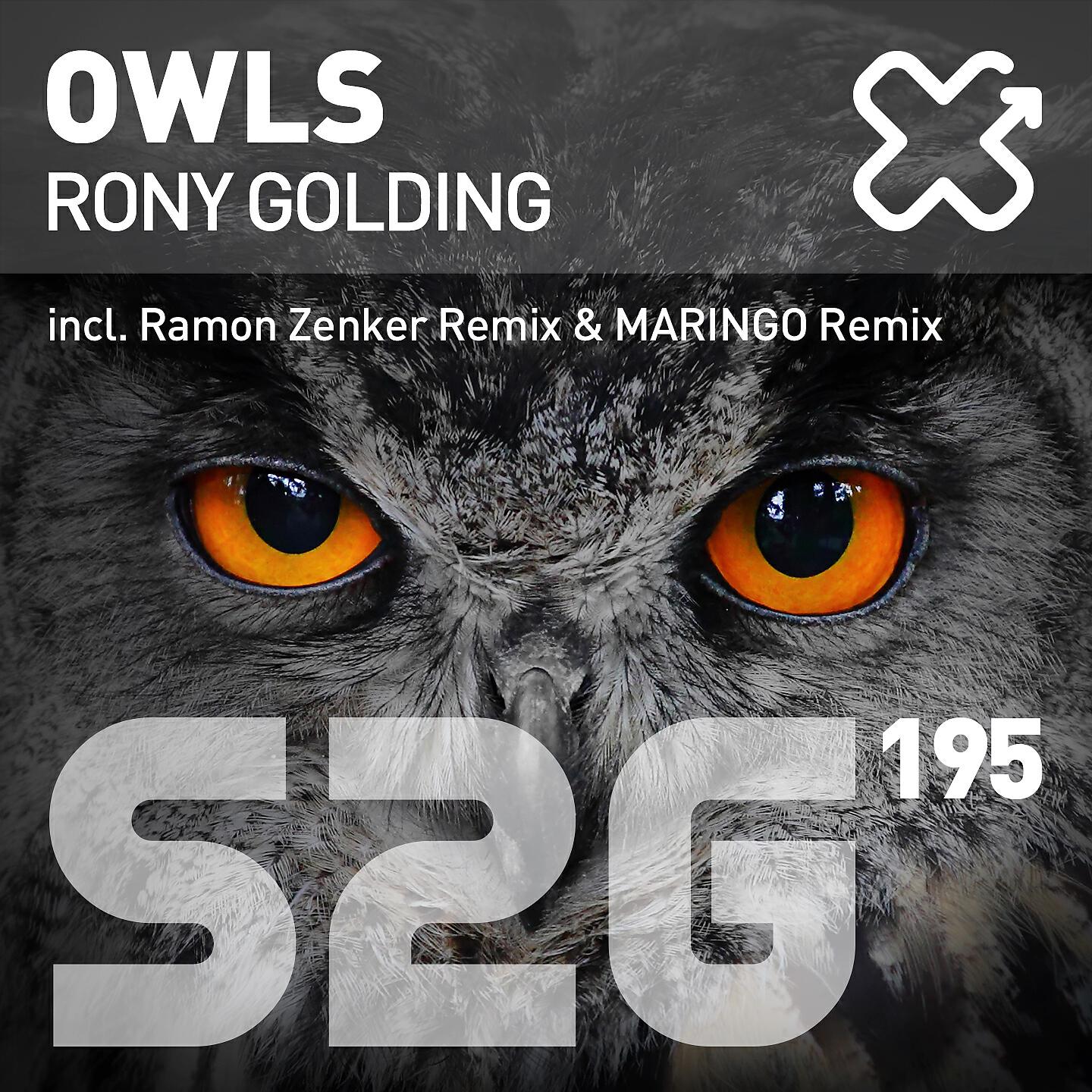 Rony Golding - Owls (Maringo Remix)
