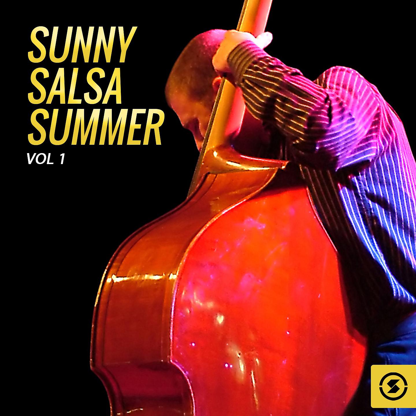 Постер альбома Sunny Salsa Summer, Vol. 1
