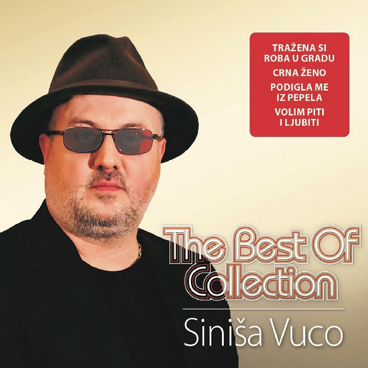 Siniša Vuco - Sestro, Odlazi