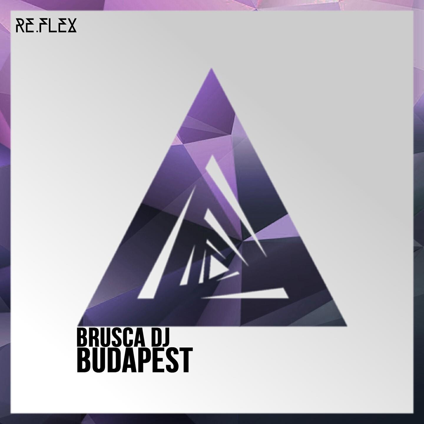 Brusca DJ - The Last House of the Night Attack