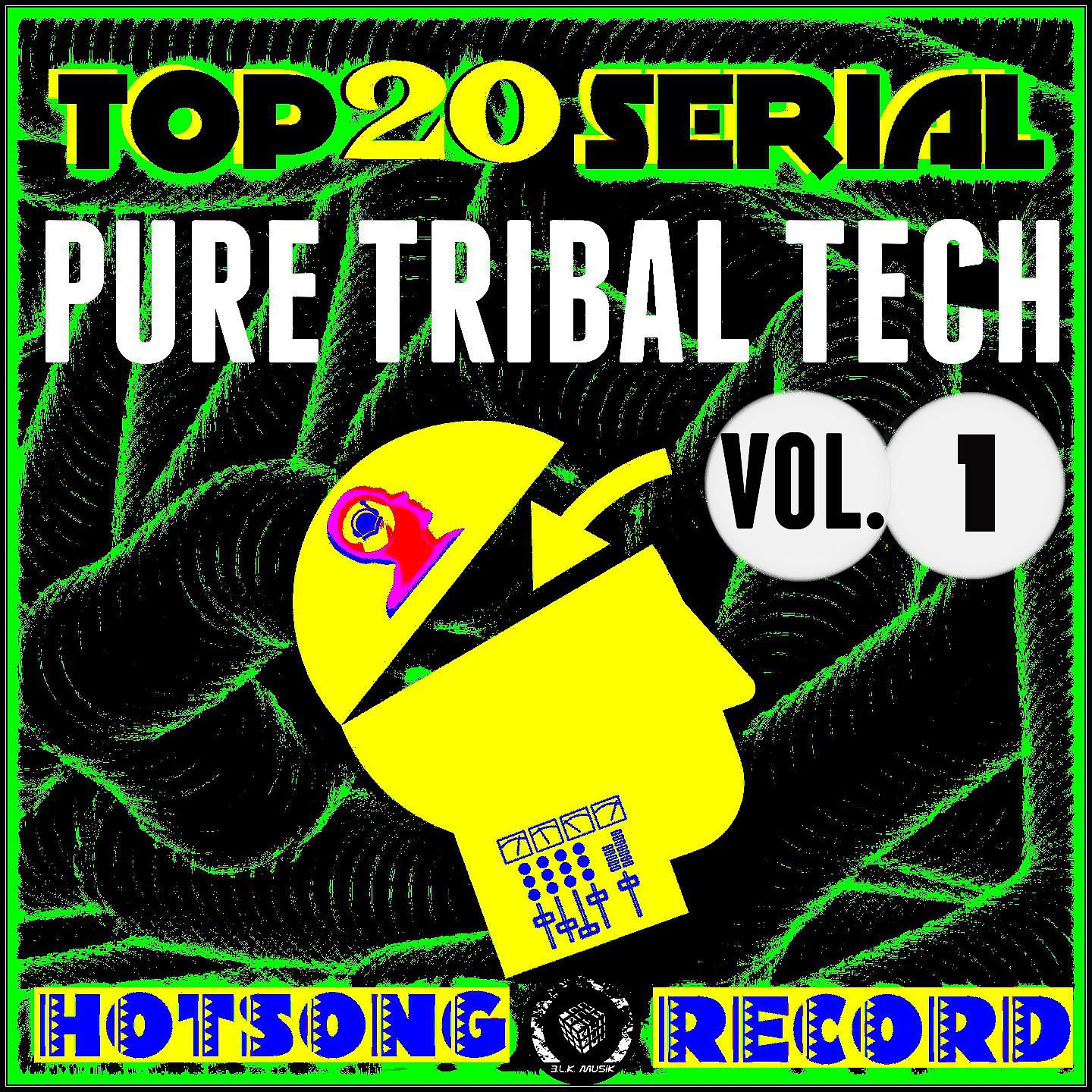 Постер альбома Top 20 Serial Pure Tribal Tech, Vol. 1
